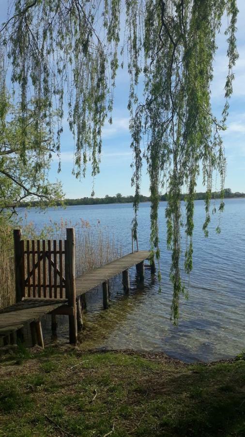 Appartements Am Schaalsee Zarrentin am Schaalsee エクステリア 写真